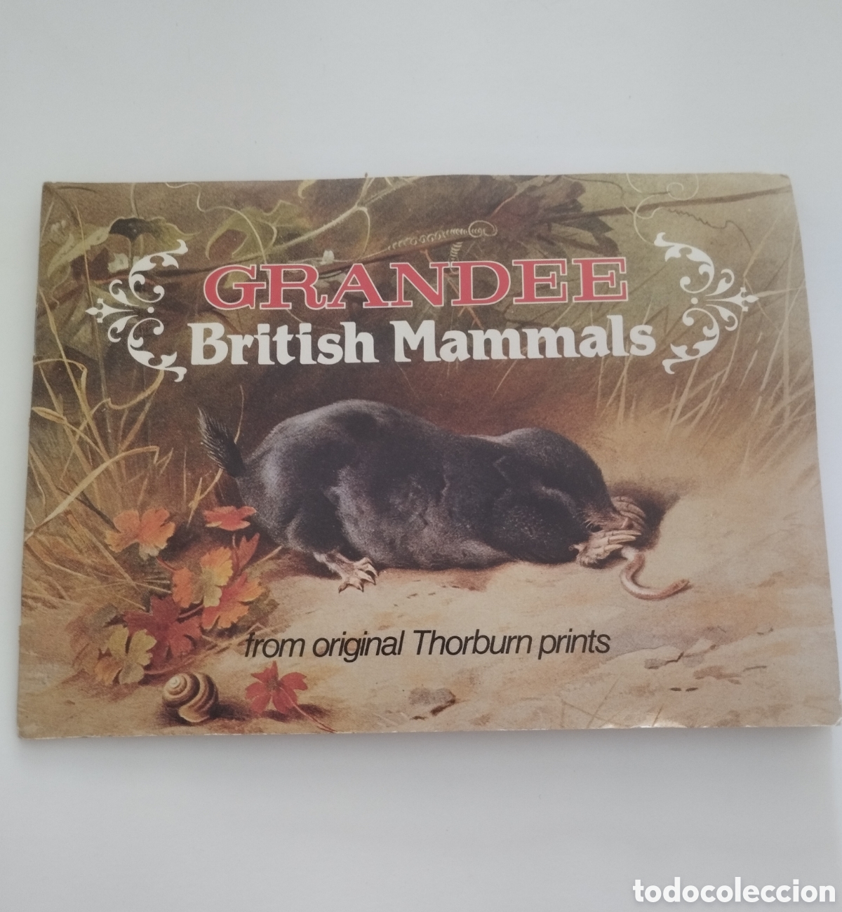Coleccionismo &Aacute;lbum: &Aacute;lbum de Cromos Completo Grandee British Mammals.