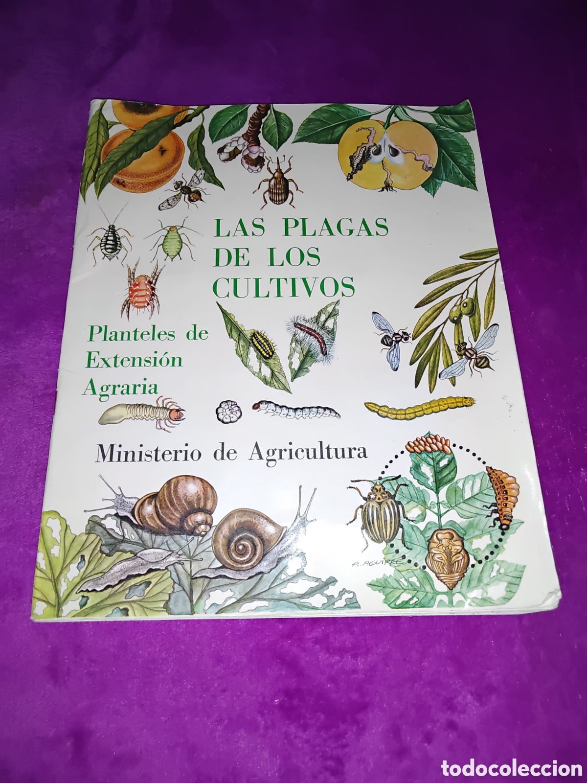 Collectionnisme Album: LIBRO/&Aacute;LBUM DEL A&Ntilde;O 1971 LAS PLAGAS DE LOS CULTIVOS *COMPLETO*