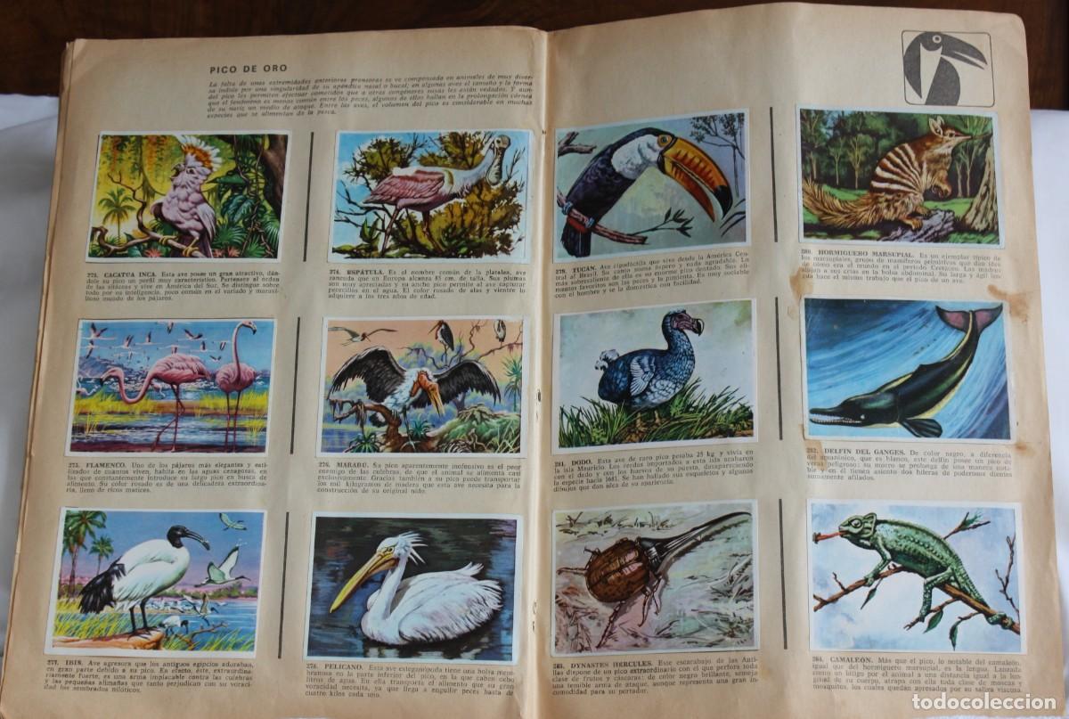 Coleccionismo &aacute;lbum: HISTORIA NATURAL 1967 - COMPLETO - Foto 2