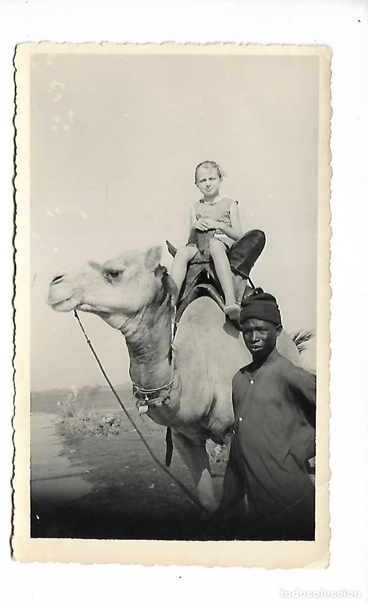 Collectionnisme Album: E200- FOTOGRAFIAS ANTIGUAS DE UNA NI&Ntilde;A EN CAMELLO - - 14 X 8 Cmts.