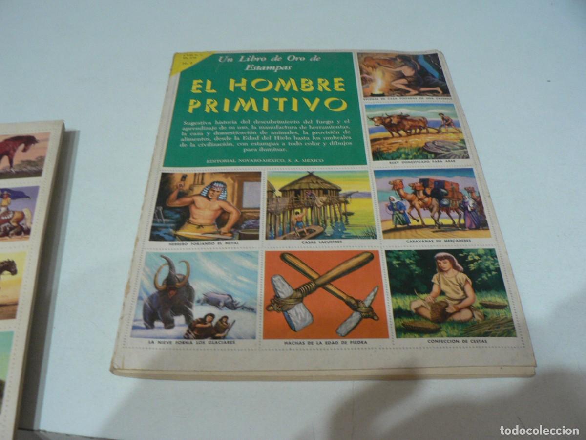 Collectionnisme Album: ALBUM COMPLETO