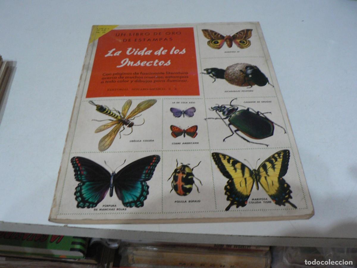 Collectionnisme Album: ALBUM COMPLETO