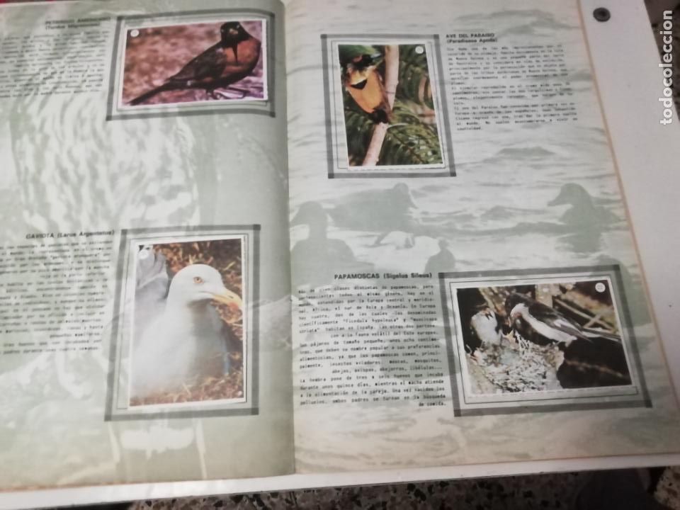 Coleccionismo &aacute;lbum: ALBUM LAS AVES - Foto 4