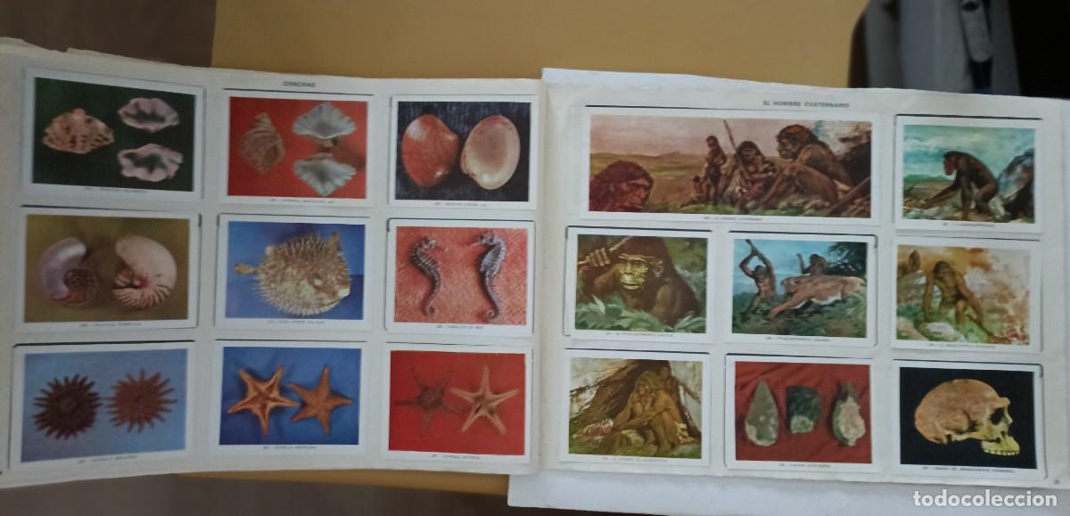 Coleccionismo &aacute;lbum: geo-ciencias, completo - Foto 5