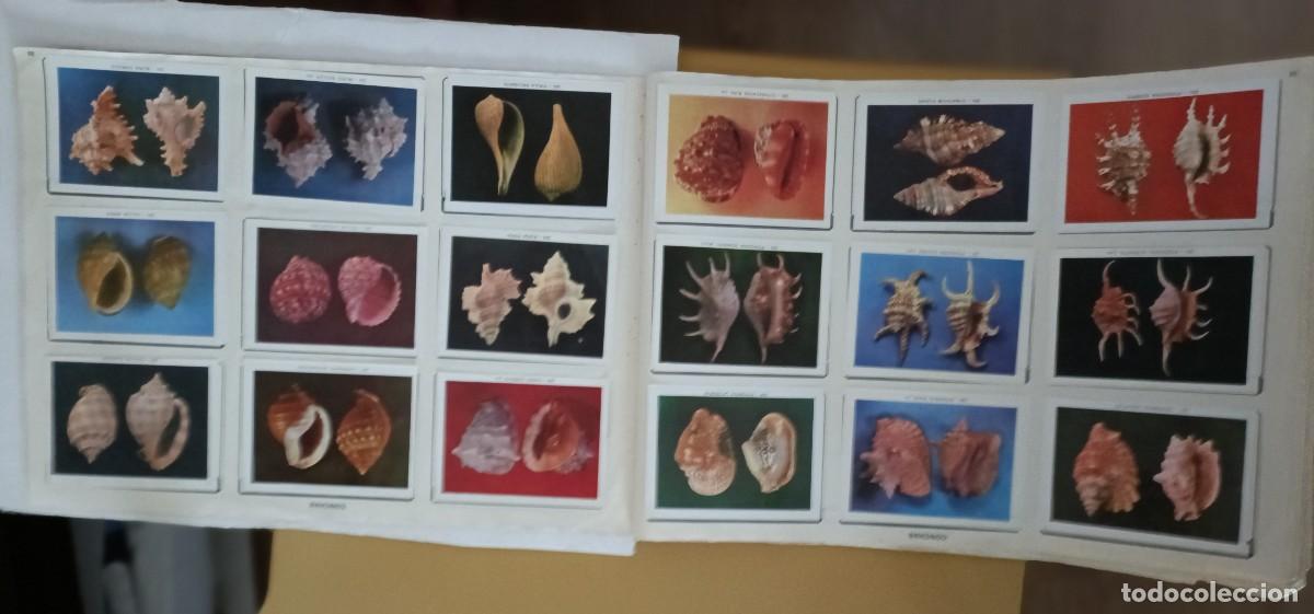 Coleccionismo &aacute;lbum: geo-ciencias, completo - Foto 6