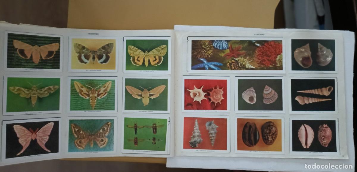 Coleccionismo &aacute;lbum: geo-ciencias, completo - Foto 7