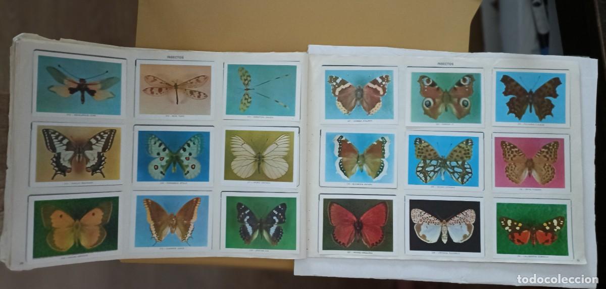 Coleccionismo &aacute;lbum: geo-ciencias, completo - Foto 8