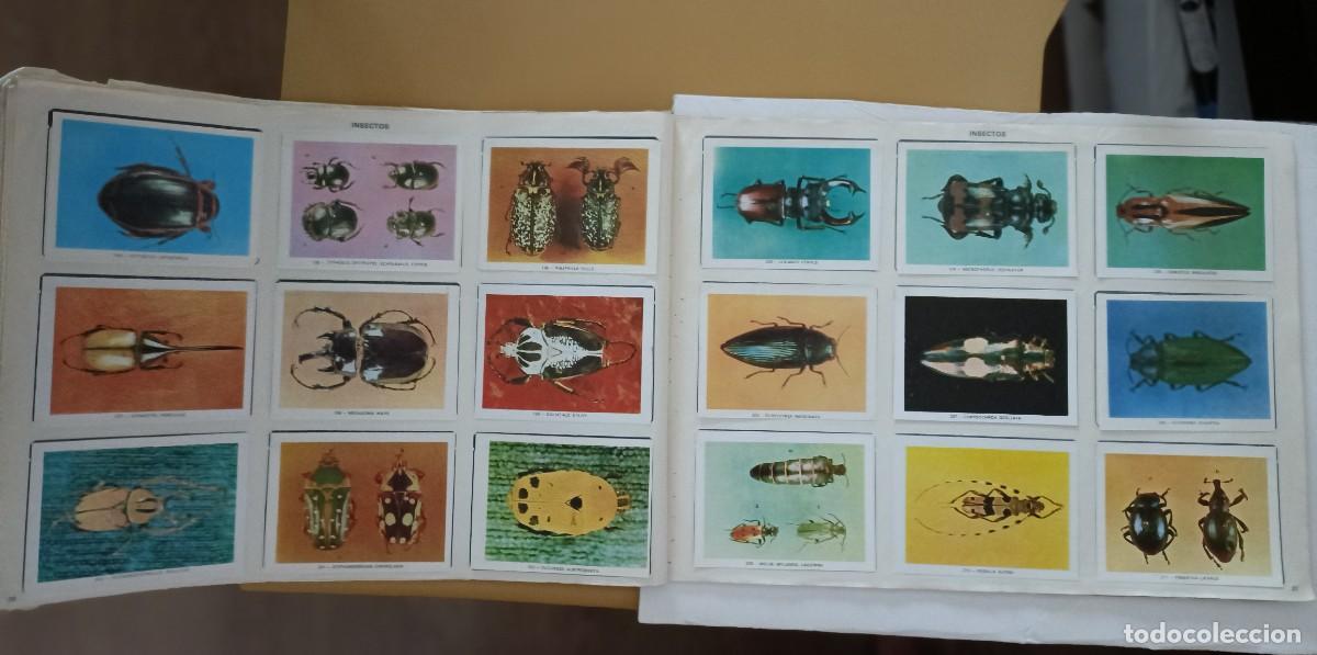 Coleccionismo &aacute;lbum: geo-ciencias, completo - Foto 9