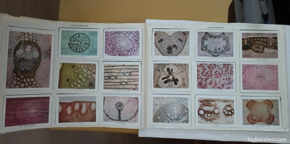 Coleccionismo &aacute;lbum: geo-ciencias, completo - Foto 10