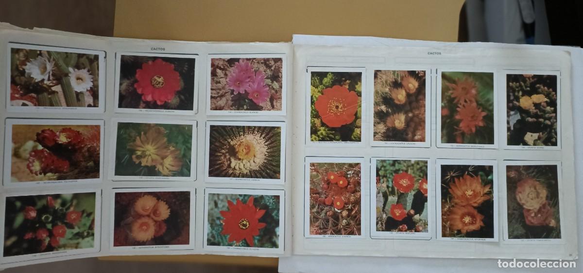 Coleccionismo &aacute;lbum: geo-ciencias, completo - Foto 11