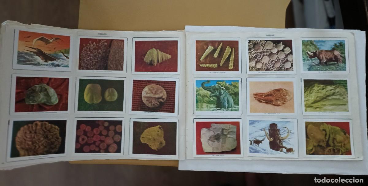 Coleccionismo &aacute;lbum: geo-ciencias, completo - Foto 12