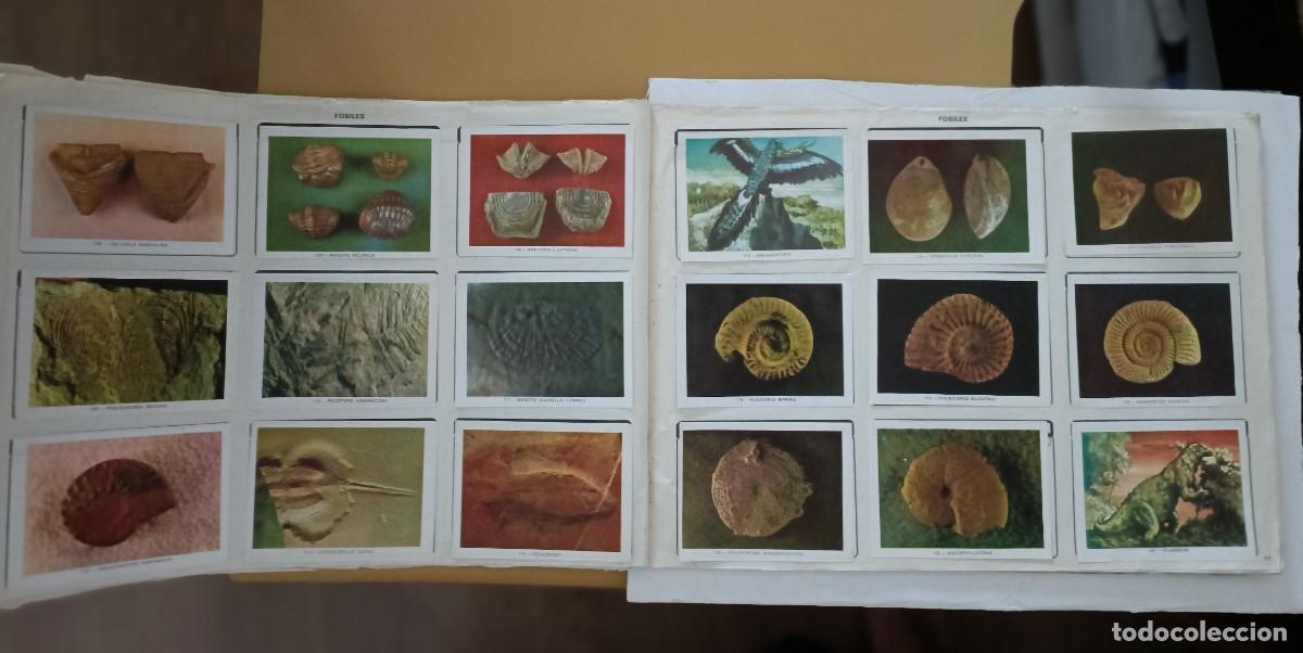 Coleccionismo &aacute;lbum: geo-ciencias, completo - Foto 13