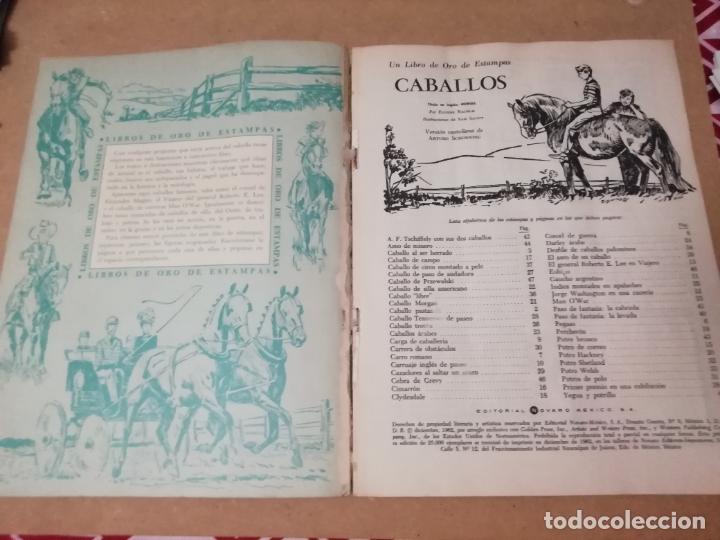 Coleccionismo &aacute;lbum: ALBUM CABALLOS - LIBRO DE ORO DE ESTAMPAS - Foto 2