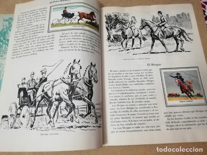 Coleccionismo &aacute;lbum: ALBUM CABALLOS - LIBRO DE ORO DE ESTAMPAS - Foto 3