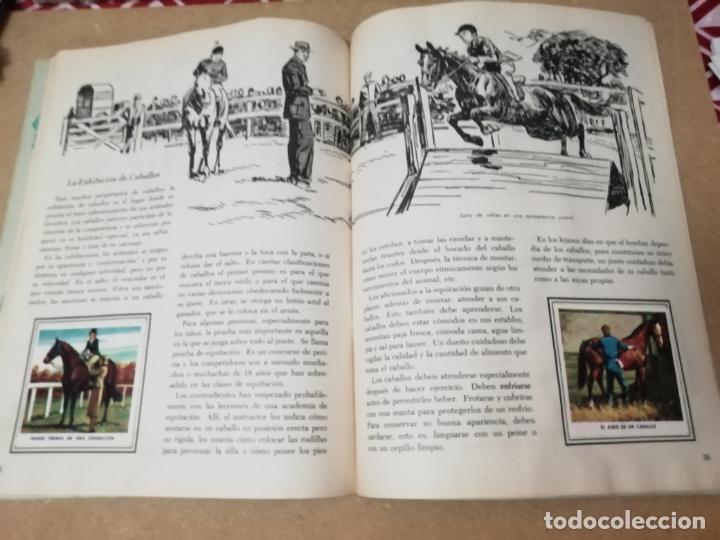 Coleccionismo &aacute;lbum: ALBUM CABALLOS - LIBRO DE ORO DE ESTAMPAS - Foto 4