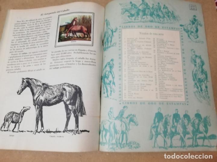 Coleccionismo &aacute;lbum: ALBUM CABALLOS - LIBRO DE ORO DE ESTAMPAS - Foto 5