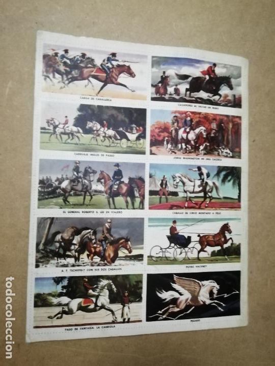 Coleccionismo &aacute;lbum: ALBUM CABALLOS - LIBRO DE ORO DE ESTAMPAS - Foto 6