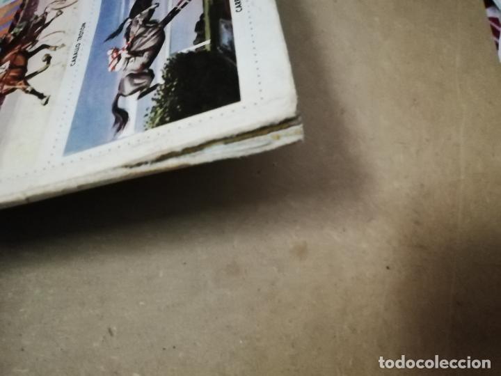 Coleccionismo &aacute;lbum: ALBUM CABALLOS - LIBRO DE ORO DE ESTAMPAS - Foto 7