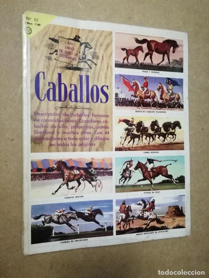 Coleccionismo &aacute;lbum: ALBUM CABALLOS - LIBRO DE ORO DE ESTAMPAS - Foto 1