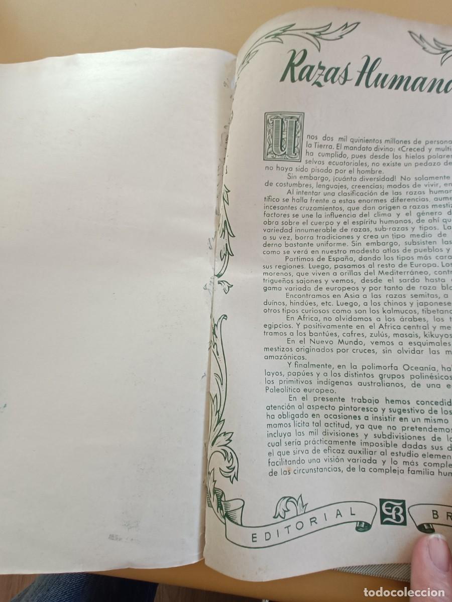 Coleccionismo &aacute;lbum: razas humanas, album completo - Foto 2