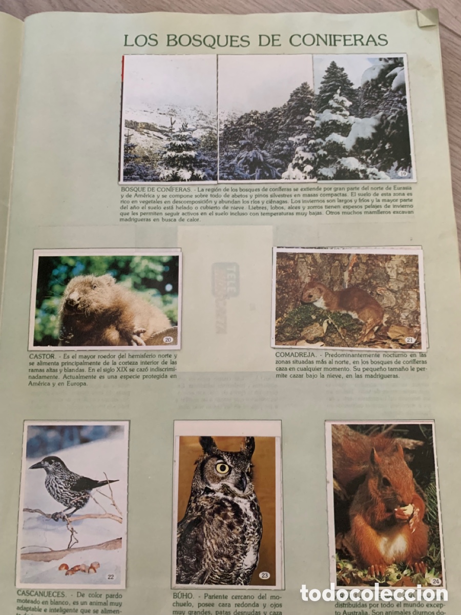 Coleccionismo &aacute;lbum: Al lado de los animales - Foto 2
