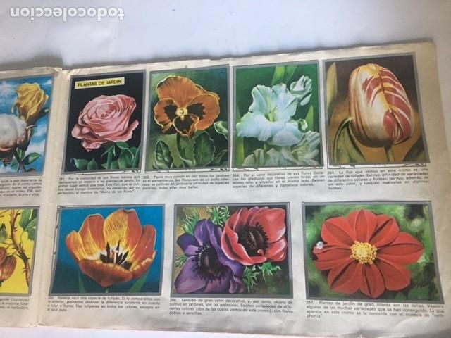 Coleccionismo &aacute;lbum: ZOOLOGIA Y BOTANICA - Foto 2