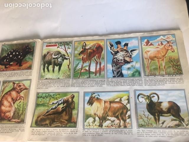 Coleccionismo &aacute;lbum: ZOOLOGIA Y BOTANICA - Foto 3