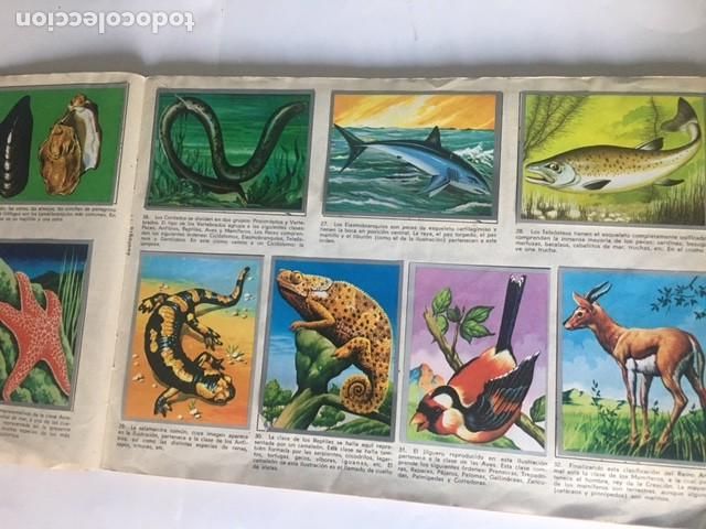 Coleccionismo &aacute;lbum: ZOOLOGIA Y BOTANICA - Foto 4