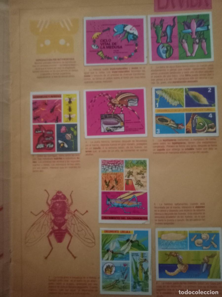 Coleccionismo &aacute;lbum: &Eacute;l origen de la vida completo este propio - Foto 3