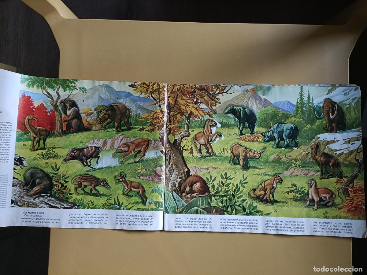 Coleccionismo &aacute;lbum: animales salvajes. completo - Foto 3