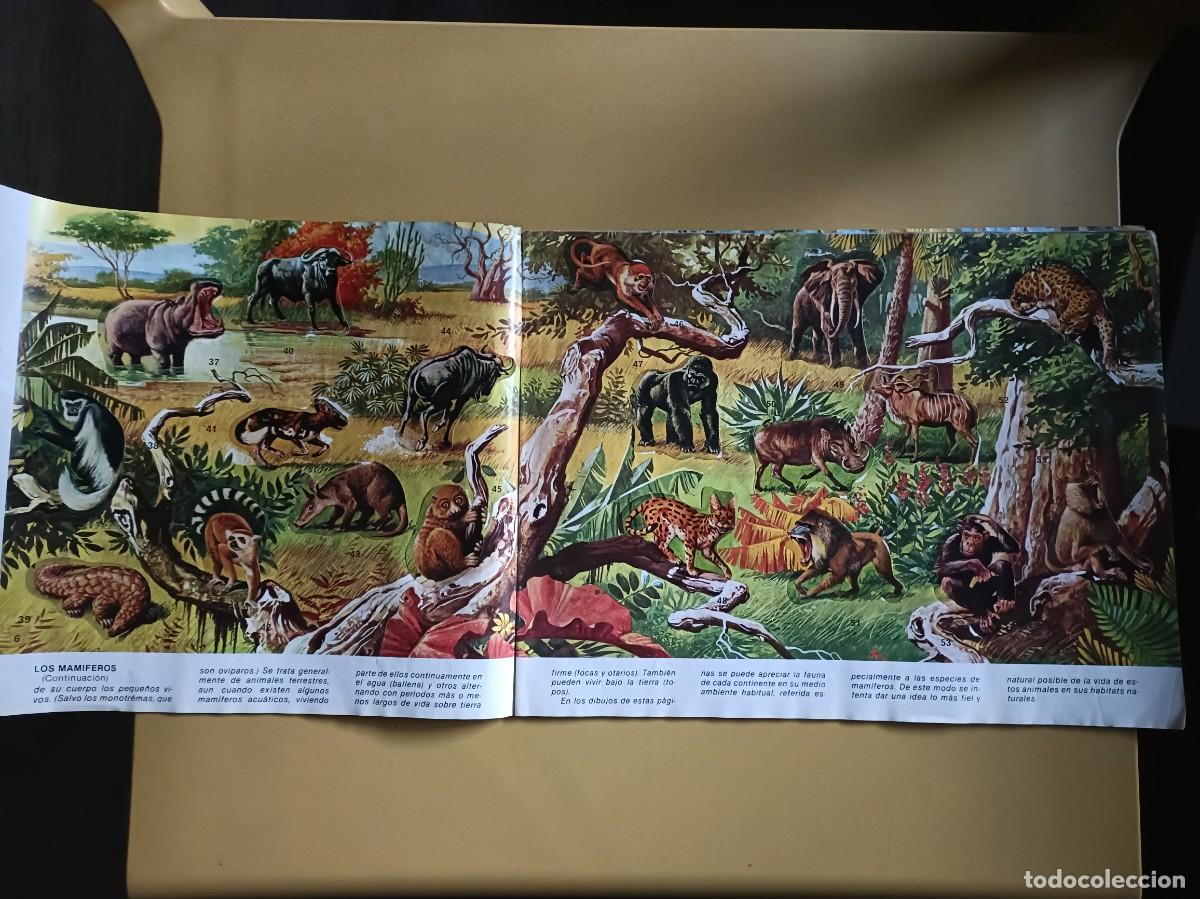Coleccionismo &aacute;lbum: animales salvajes. completo - Foto 4
