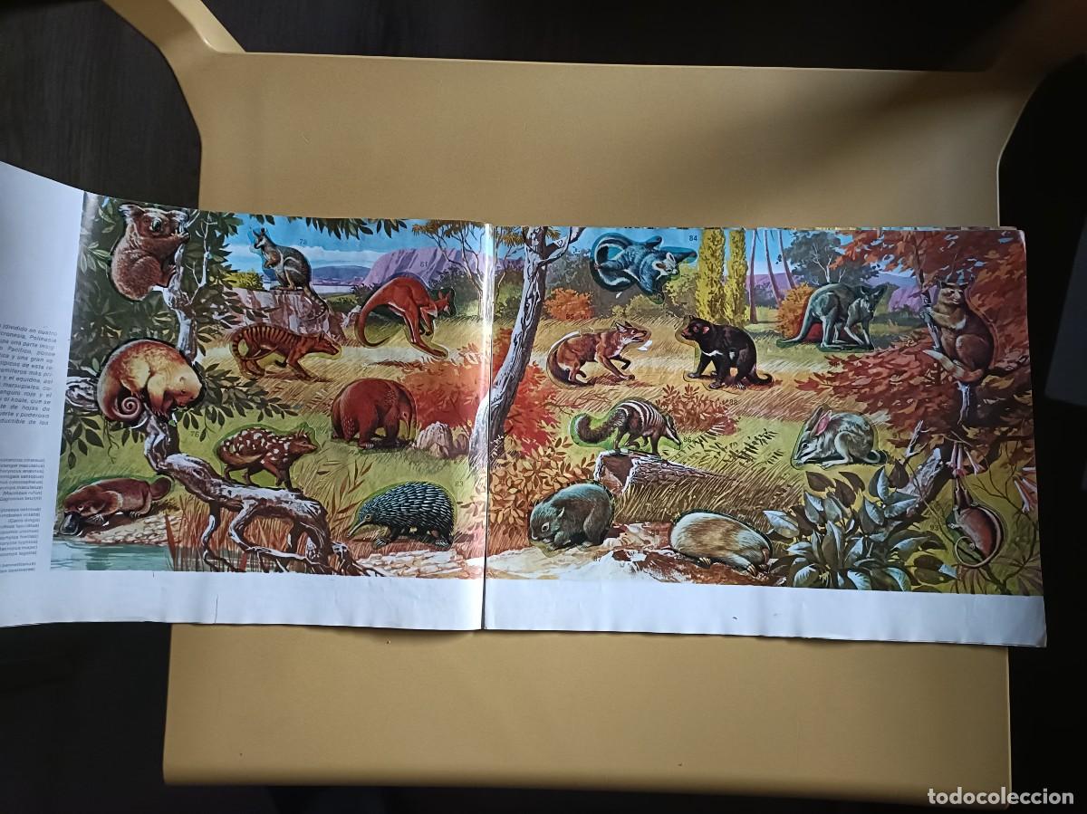 Coleccionismo &aacute;lbum: animales salvajes. completo - Foto 6