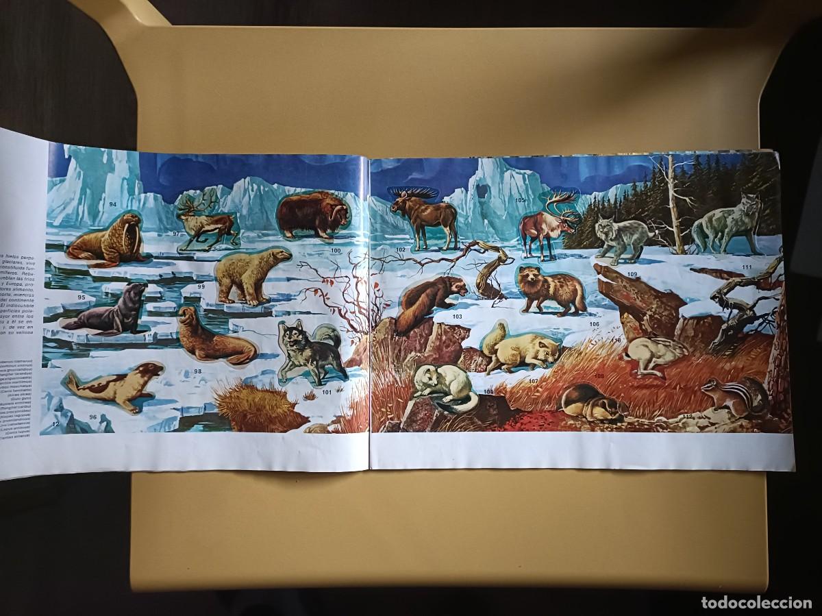 Coleccionismo &aacute;lbum: animales salvajes. completo - Foto 7