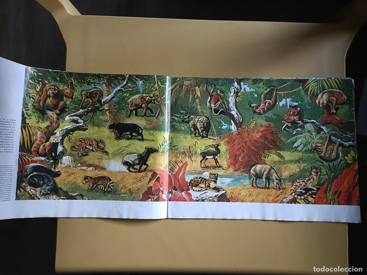 Coleccionismo &aacute;lbum: animales salvajes. completo - Foto 8