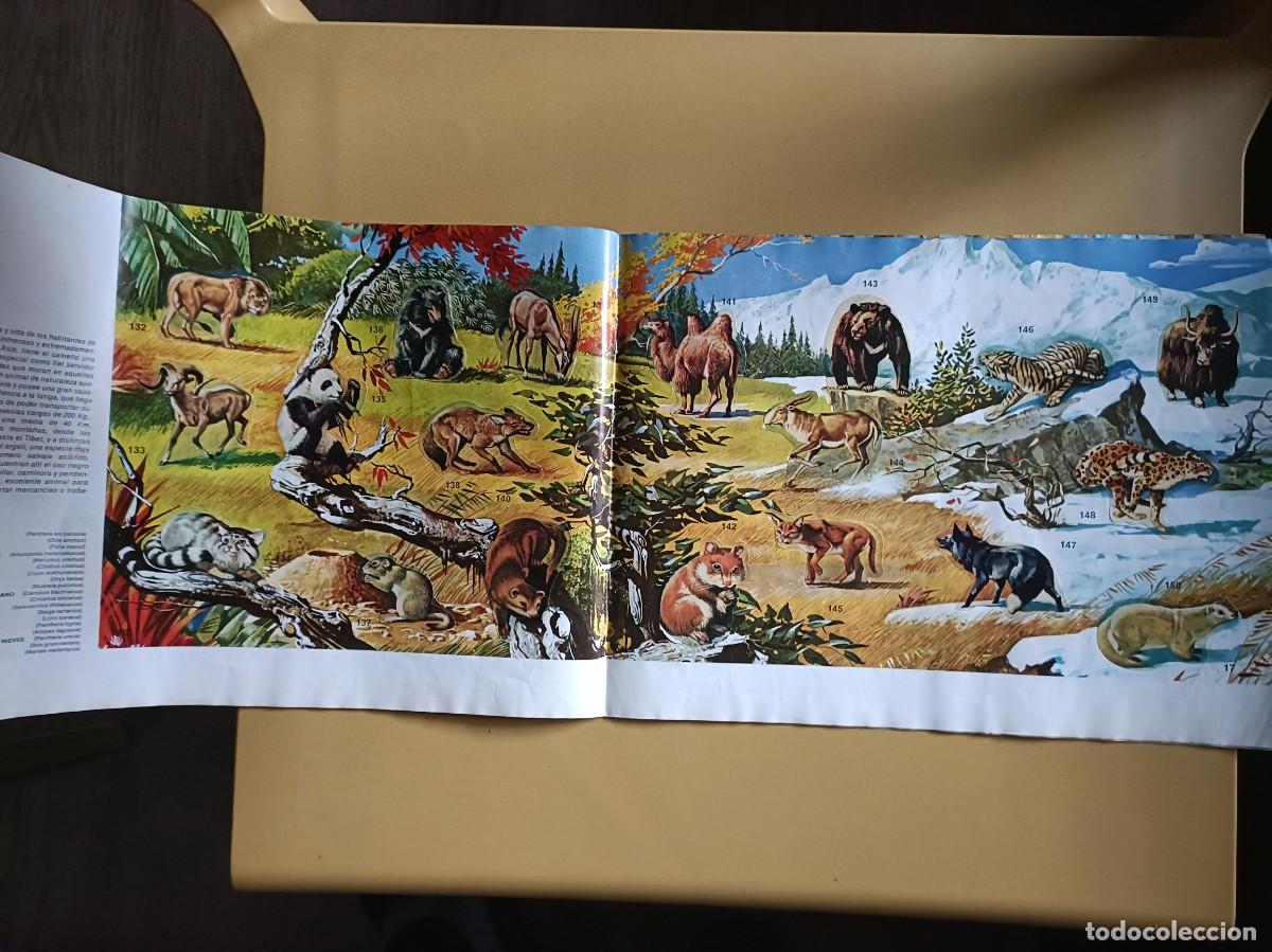 Coleccionismo &aacute;lbum: animales salvajes. completo - Foto 9