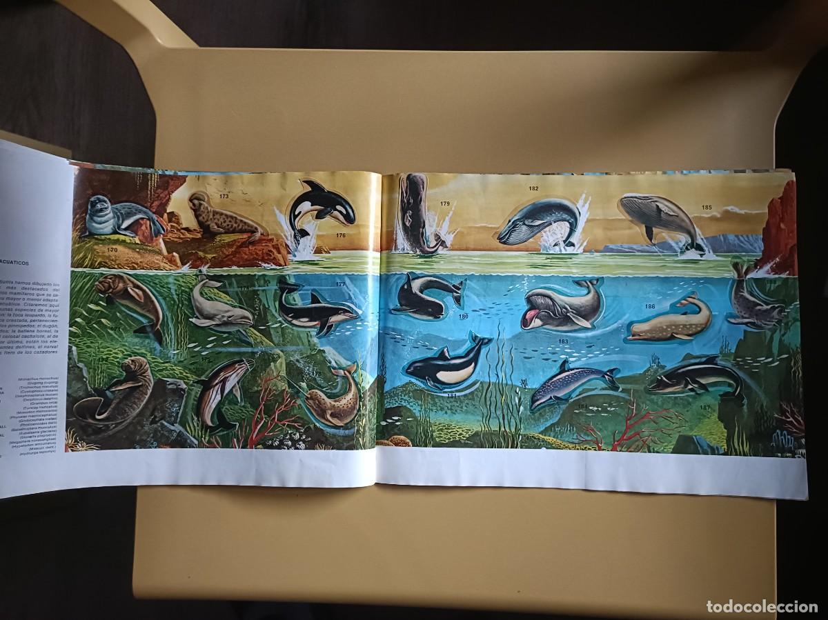 Coleccionismo &aacute;lbum: animales salvajes. completo - Foto 11