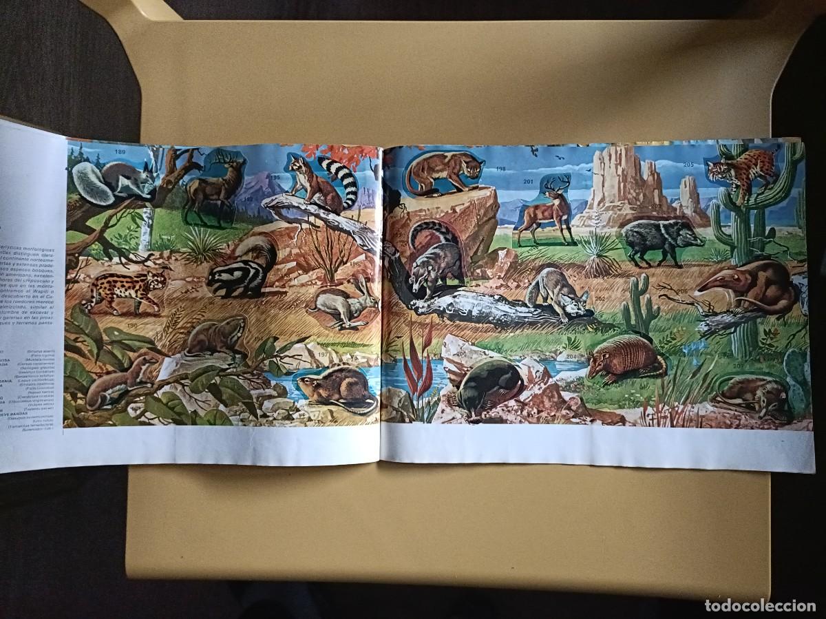 Coleccionismo &aacute;lbum: animales salvajes. completo - Foto 12