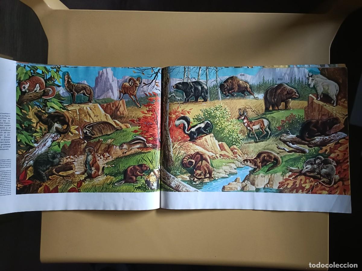Coleccionismo &aacute;lbum: animales salvajes. completo - Foto 13
