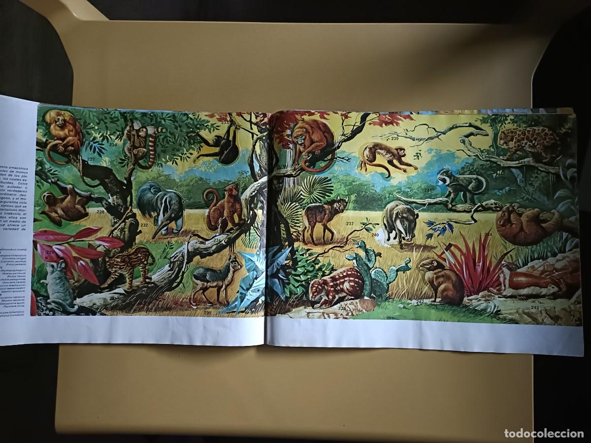 Coleccionismo &aacute;lbum: animales salvajes. completo - Foto 14