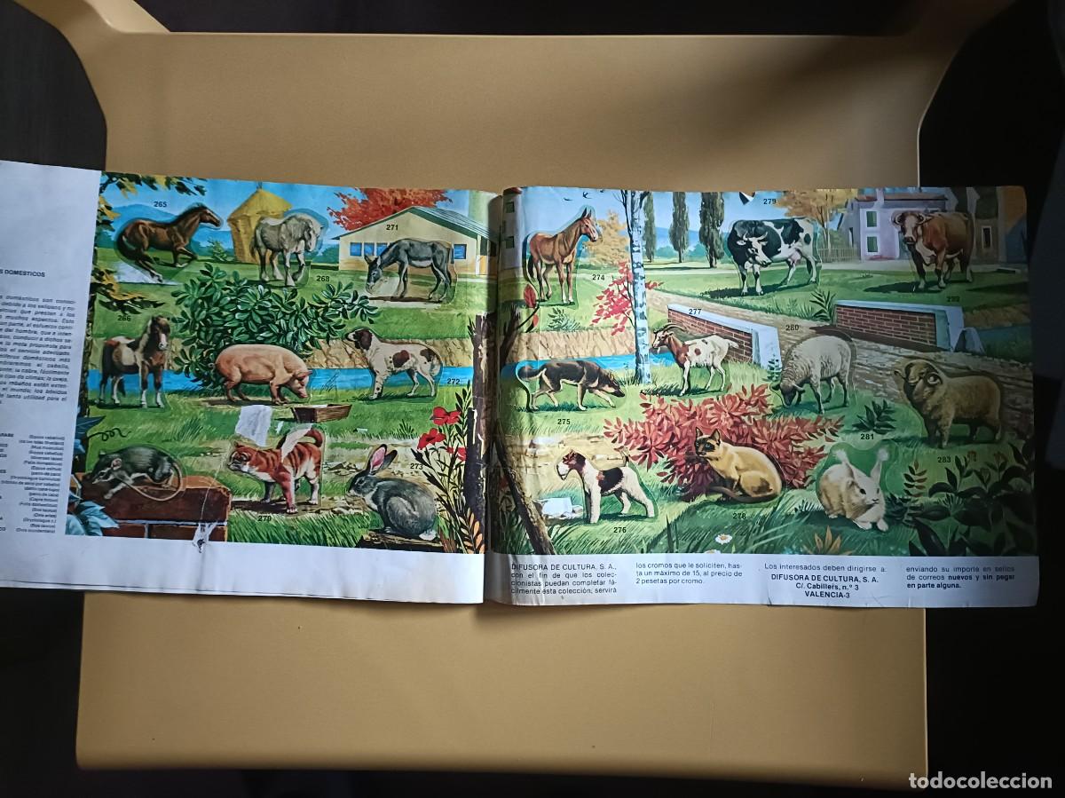 Coleccionismo &aacute;lbum: animales salvajes. completo - Foto 16