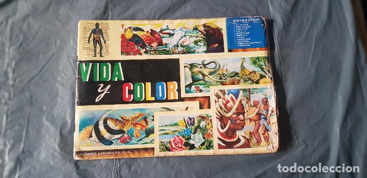 Coleccionismo &aacute;lbum: VIDA Y COLOR - Foto 8