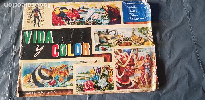 Coleccionismo &aacute;lbum: VIDA Y COLOR - Foto 7