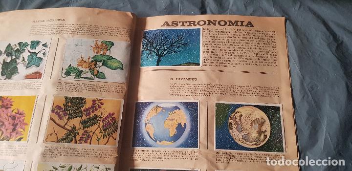 Coleccionismo &aacute;lbum: HISTORIA NATURAL 508 CROMOS - Foto 3
