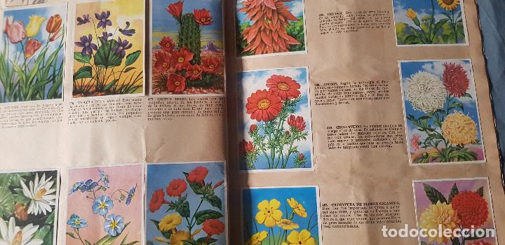 Coleccionismo &aacute;lbum: HISTORIA NATURAL 508 CROMOS - Foto 4