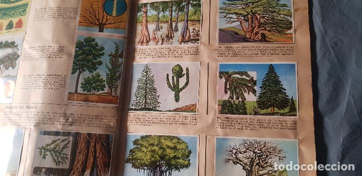 Coleccionismo &aacute;lbum: HISTORIA NATURAL 508 CROMOS - Foto 5