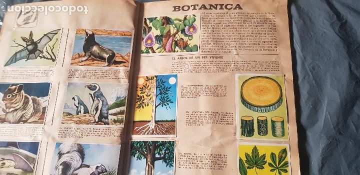 Coleccionismo &aacute;lbum: HISTORIA NATURAL 508 CROMOS - Foto 6