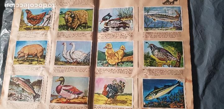 Coleccionismo &aacute;lbum: HISTORIA NATURAL 508 CROMOS - Foto 7
