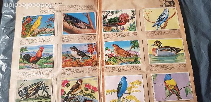 Coleccionismo &aacute;lbum: HISTORIA NATURAL 508 CROMOS - Foto 8