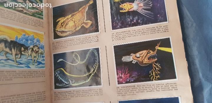 Coleccionismo &aacute;lbum: HISTORIA NATURAL 508 CROMOS - Foto 9