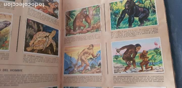 Coleccionismo &aacute;lbum: HISTORIA NATURAL 508 CROMOS - Foto 10